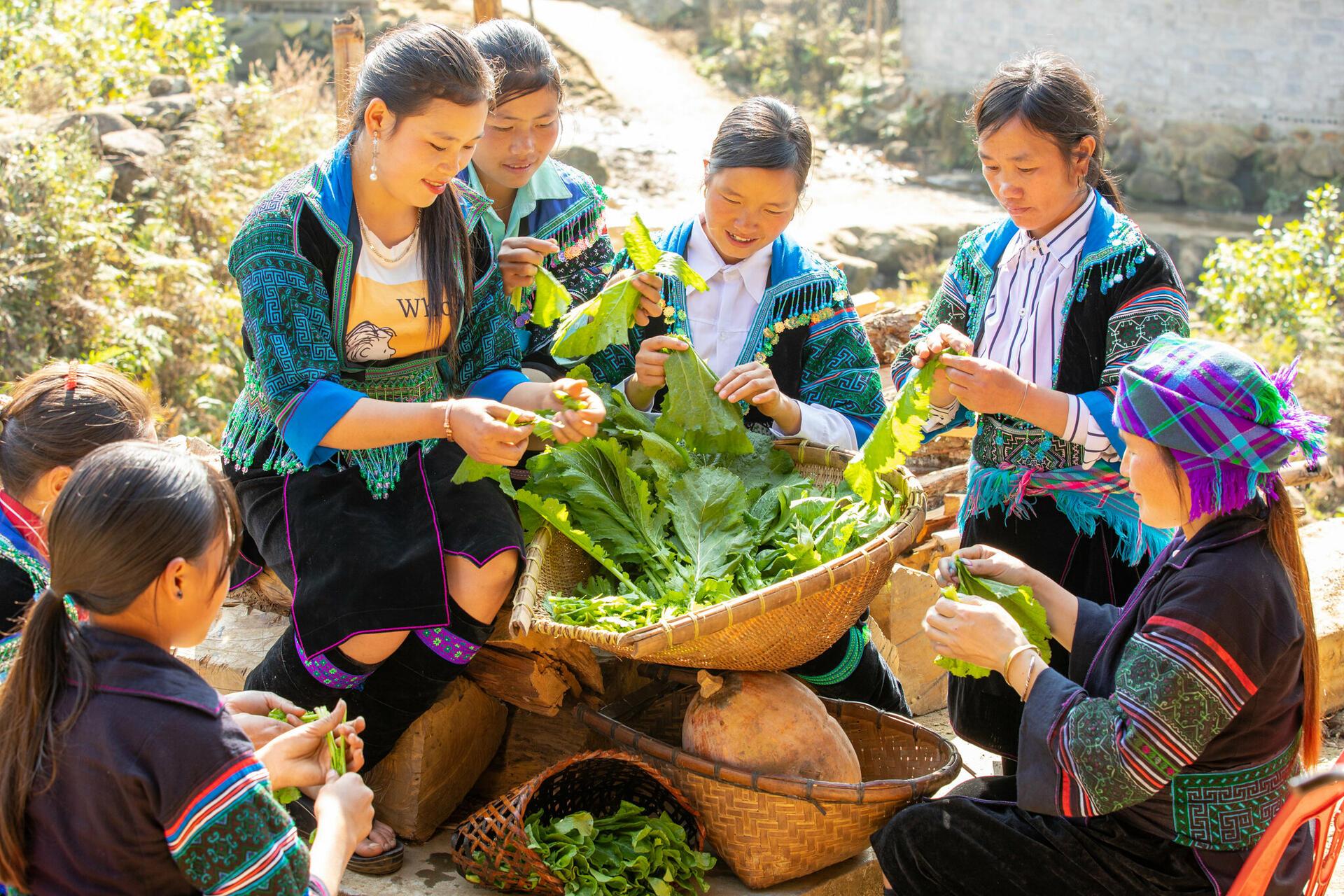 Women and girls are at the heart of fostering better agrifood systems for all - Image 1