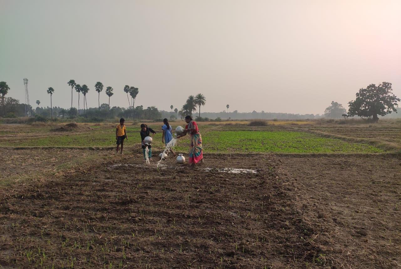 Women in Odisha, India