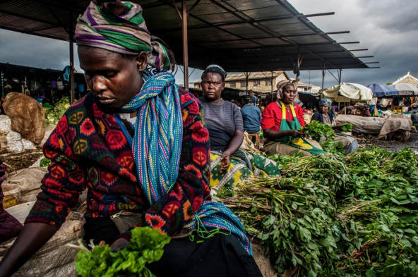 Indigenous vegetables make a comeback in Kenya and other African countries