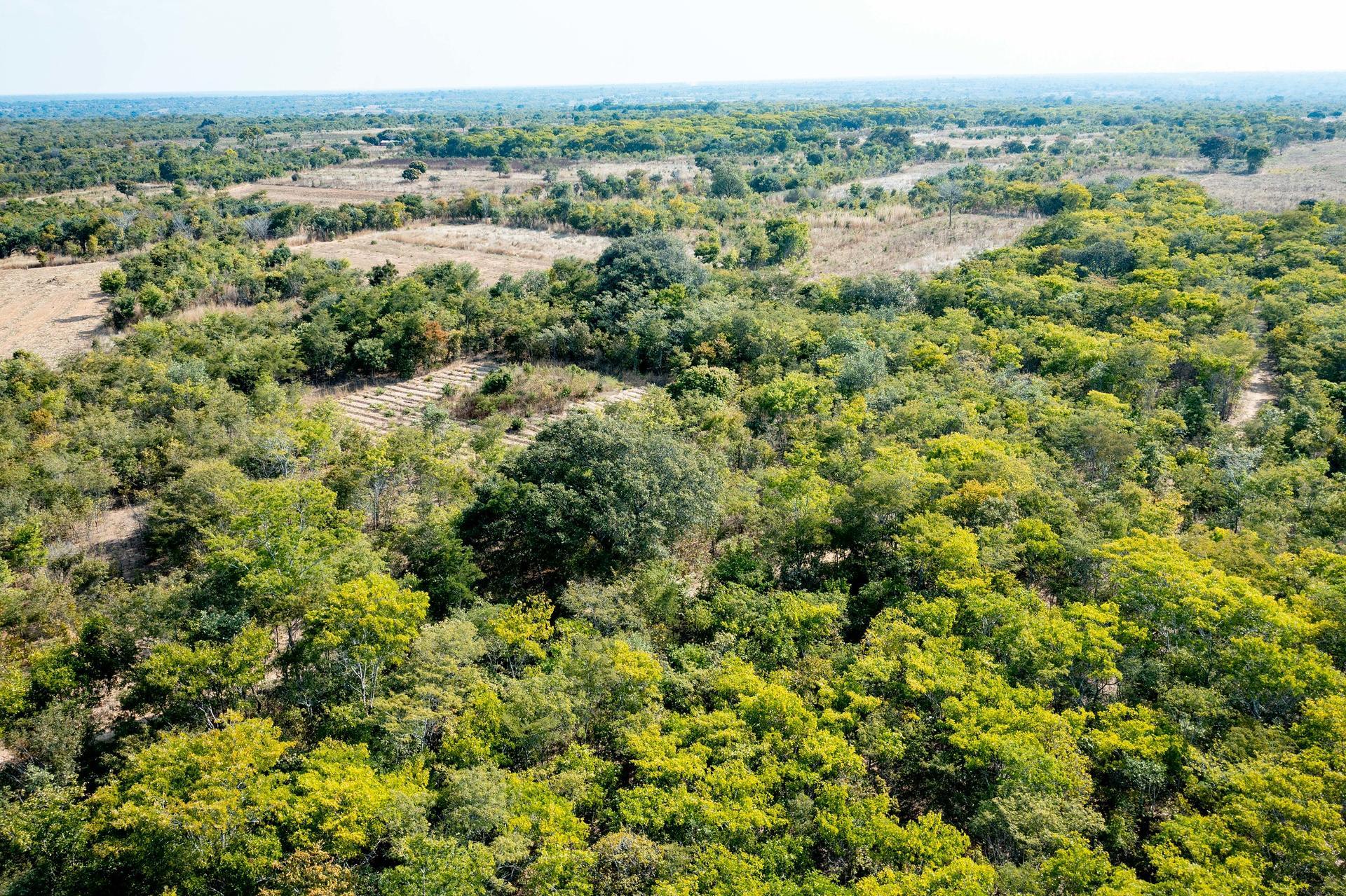 Zambia - Alliance Bioversity International - CIAT - Image 1