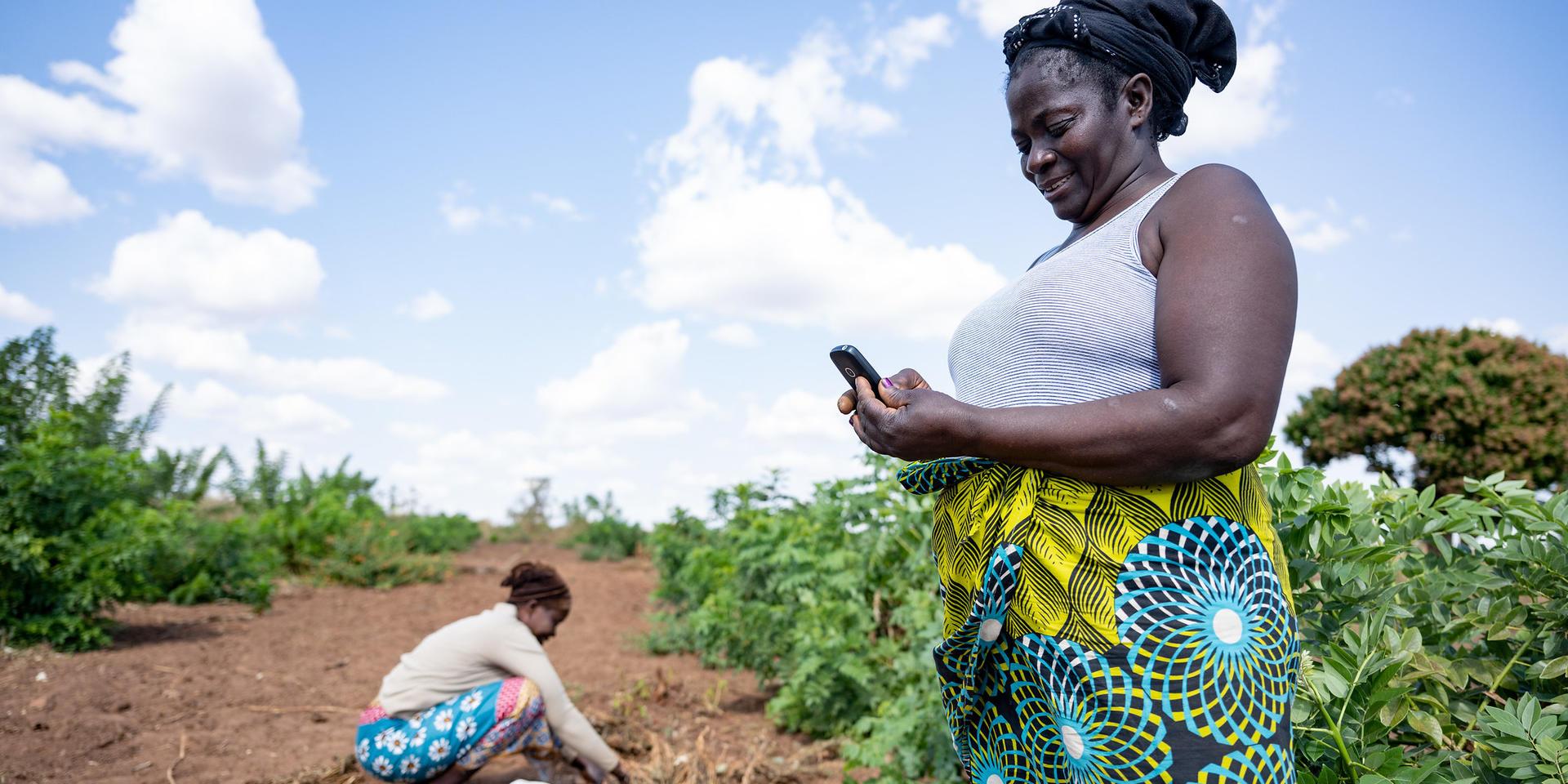 Zambia - Alliance of Bioversity International and CIAT