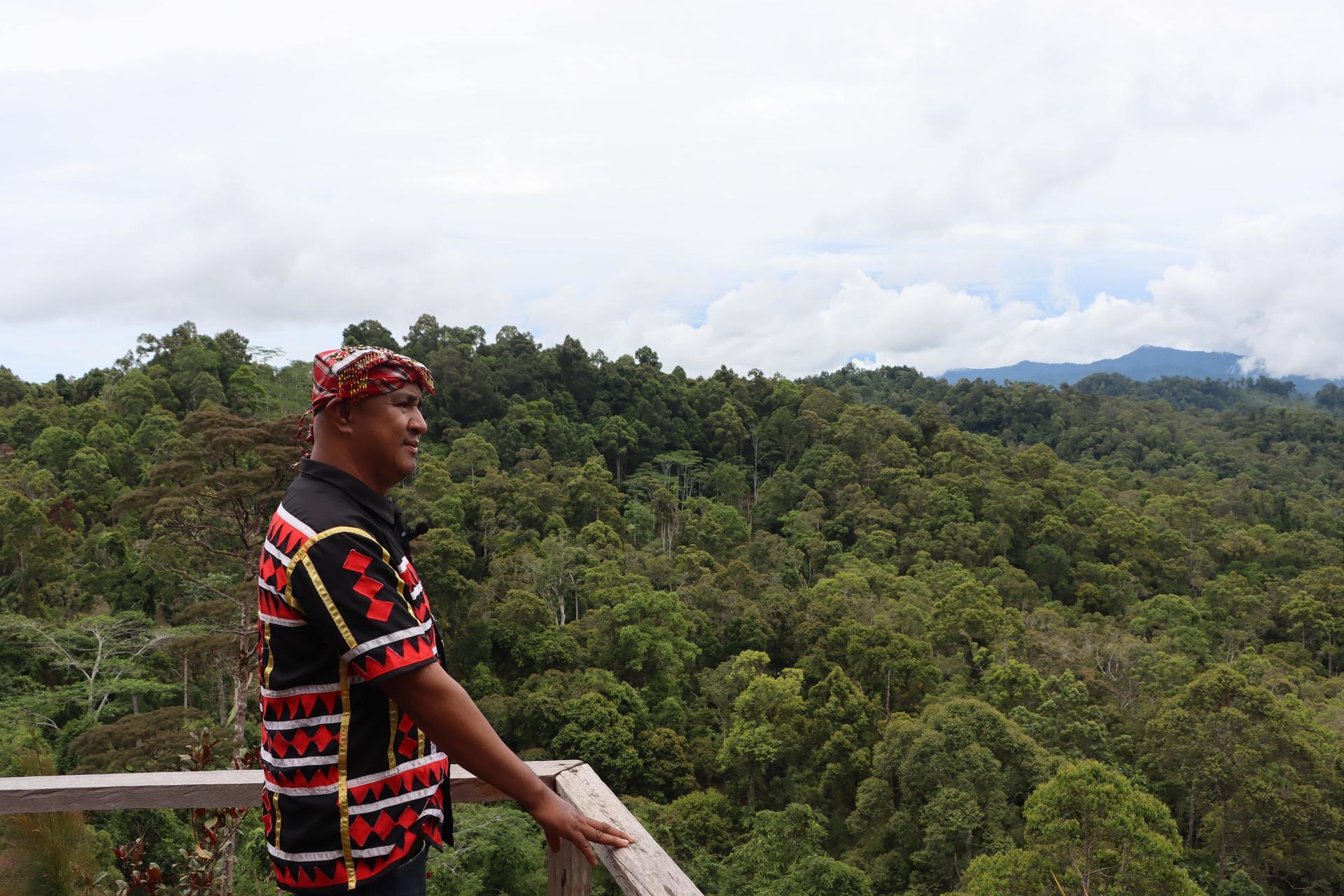 In the Philippines, a tribal leader guards a forest stronghold 