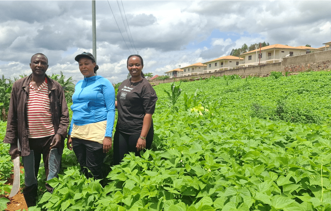 Resilient farming with beans, trees and bees in Rwanda