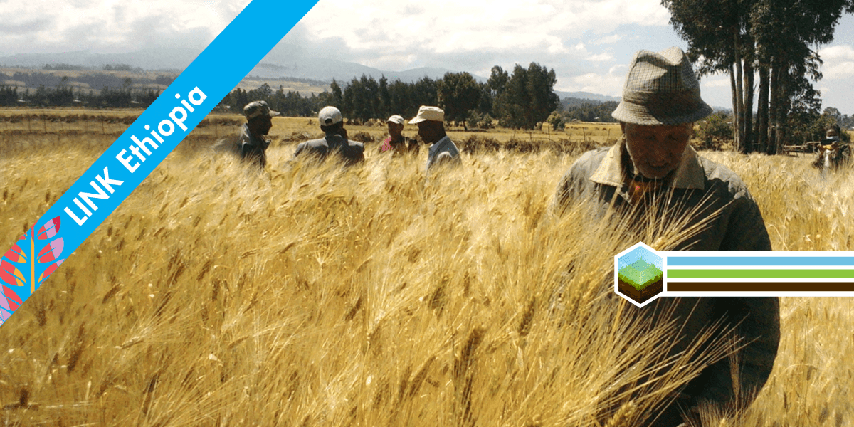 Linking farmers and markets in Ethiopia inclusive business models