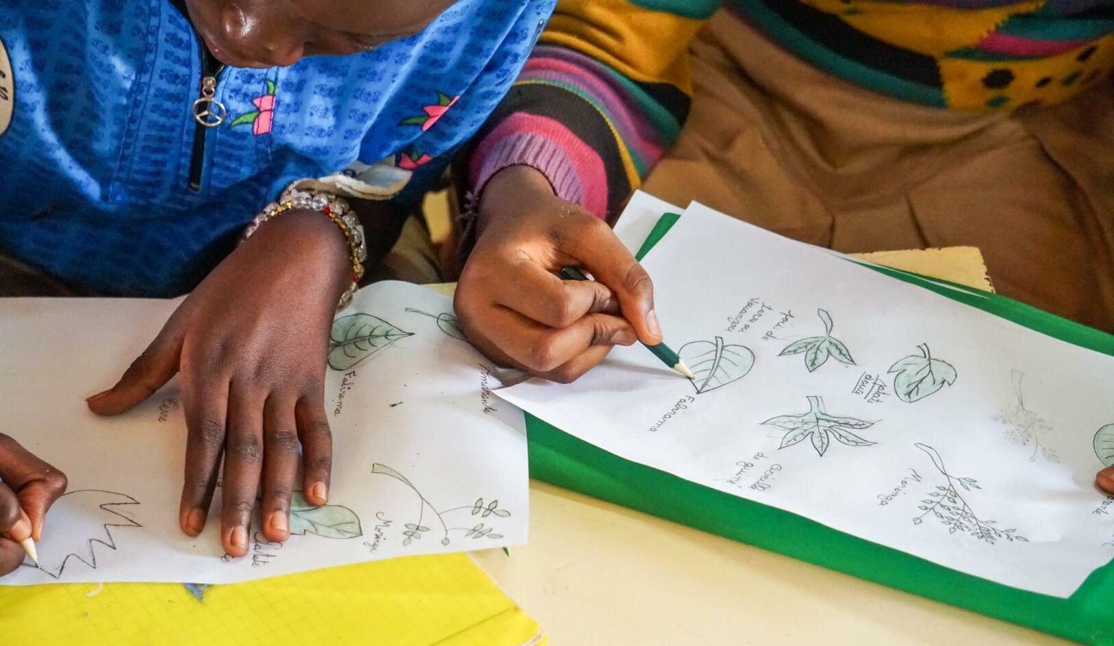 Lunch Matters: How school meals enhance nutrition, education and agrobiodiversity in Africa 