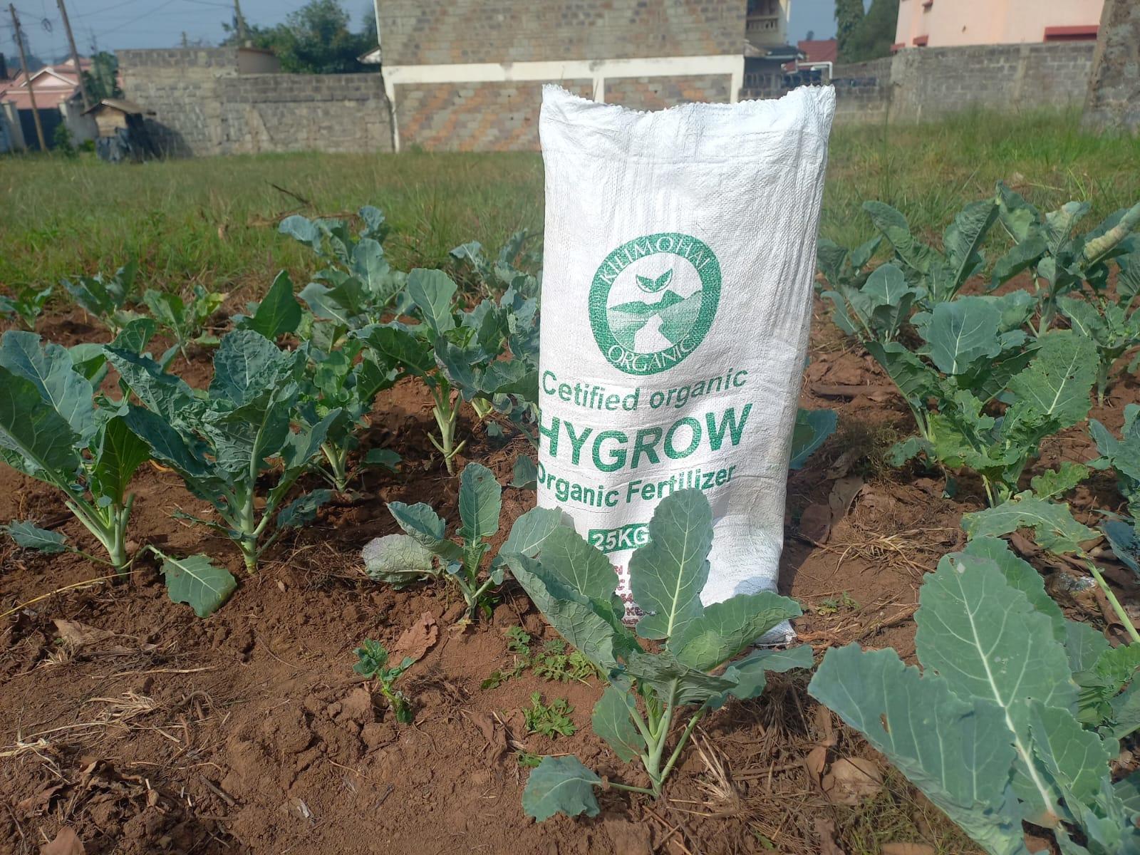 Organic Waste Recycling for a Sustainable Food Future in Kenya