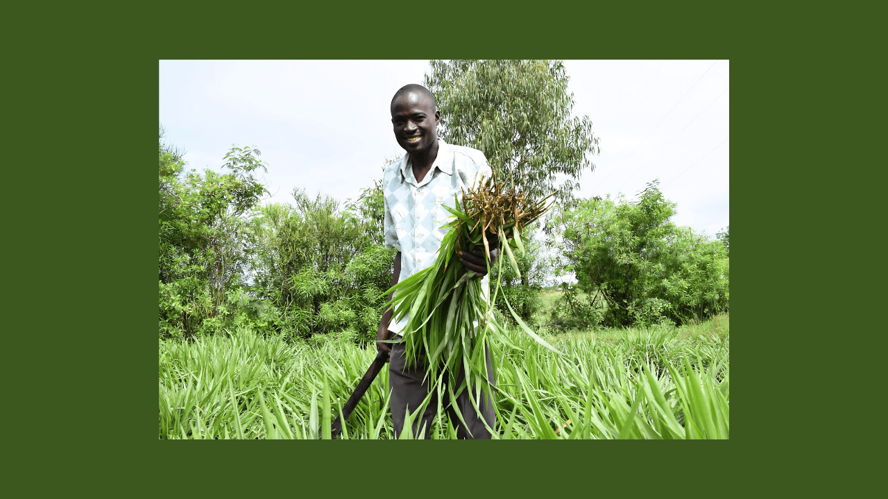 'ShambaShield'—Delivering inclusive finance and climate-smart solutions to Kenyan farmer