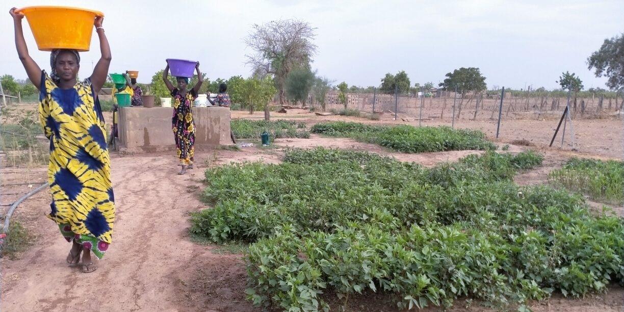 Sowing the Drops of Change Transforming Lives in the Sahel Amidst Climate Adversity 