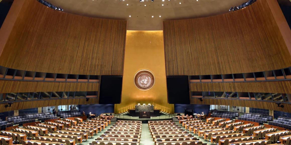 The Alliance at the 79th UN General Assembly and NY Climate Week 2024 