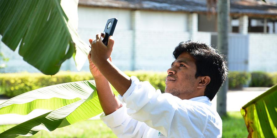 The Champion who created an App to identify banana diseases