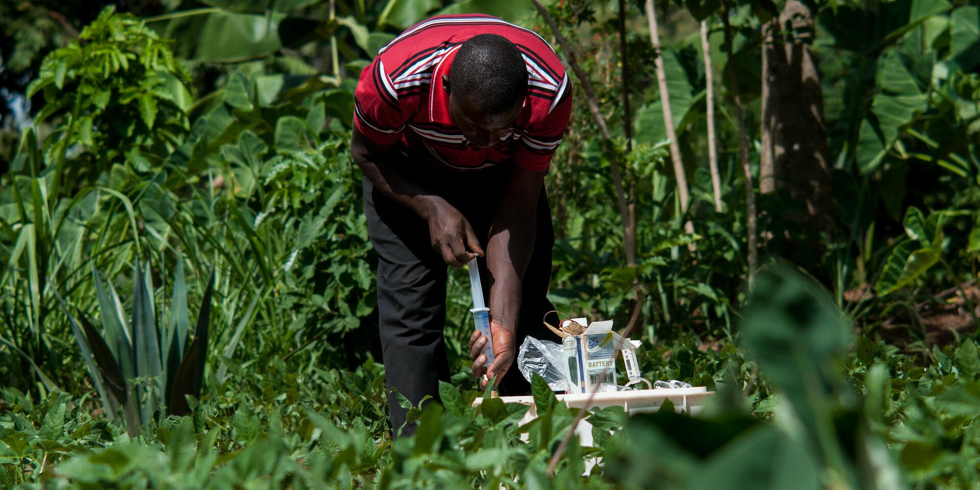 tools-innovations-alliance-bioversity-international-ciat.jpg
