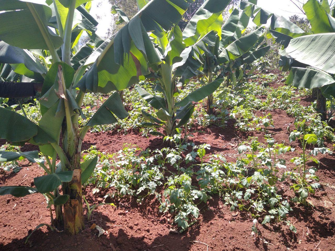 Training on climate-smart agriculture and agroecological practices experiences from research and development 