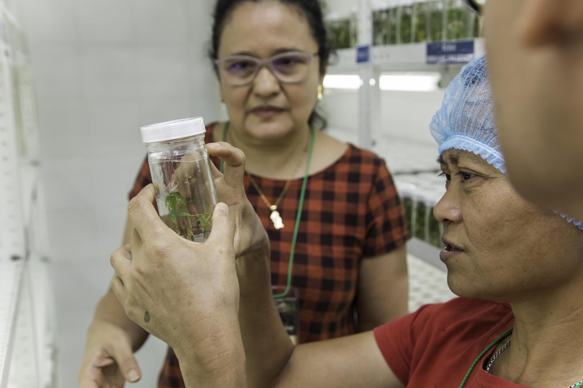 Unlocking plant genetic material exchange for food systems resilience 