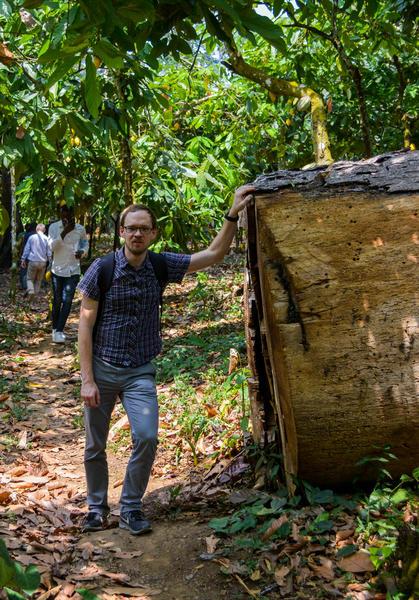 Christian Bunn in a cocoa plantation with a large felled tree
