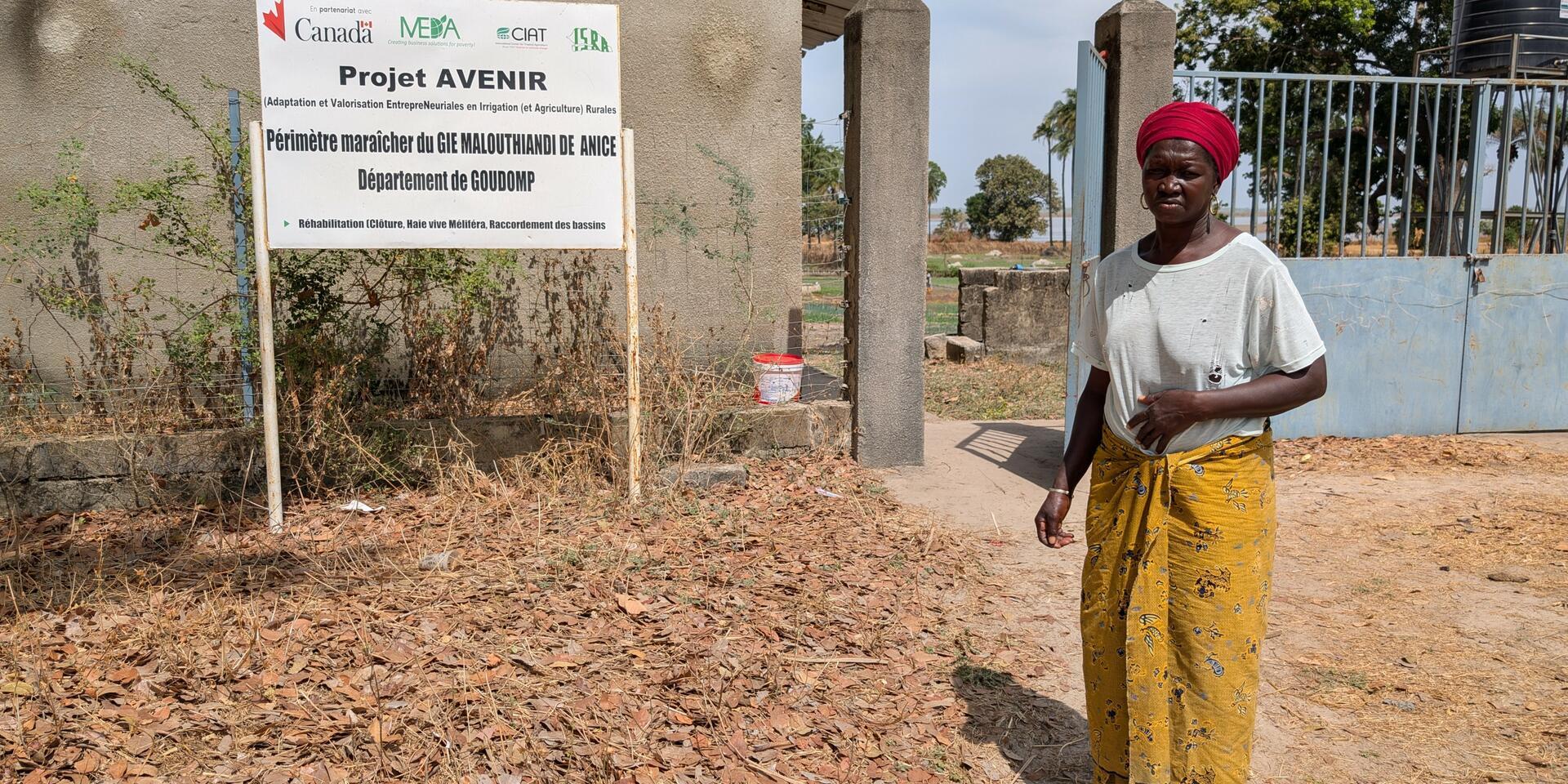 A dawn for resilient households in Senegal: The story of the GIE Malouthiandi market garden