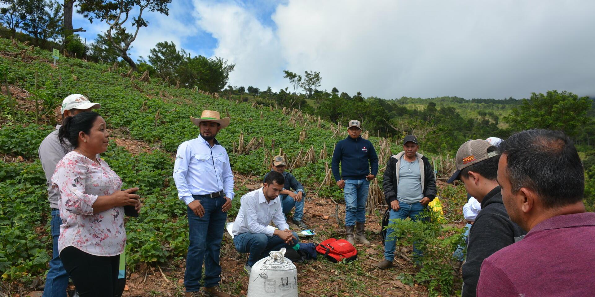 A six-step approach - balancing low-emission goals with sustainable development