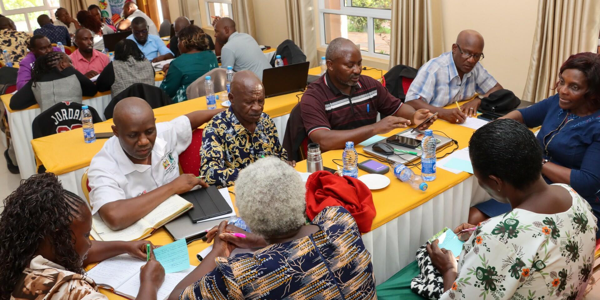 A systems approach to scaling innovations in the agrifood system 