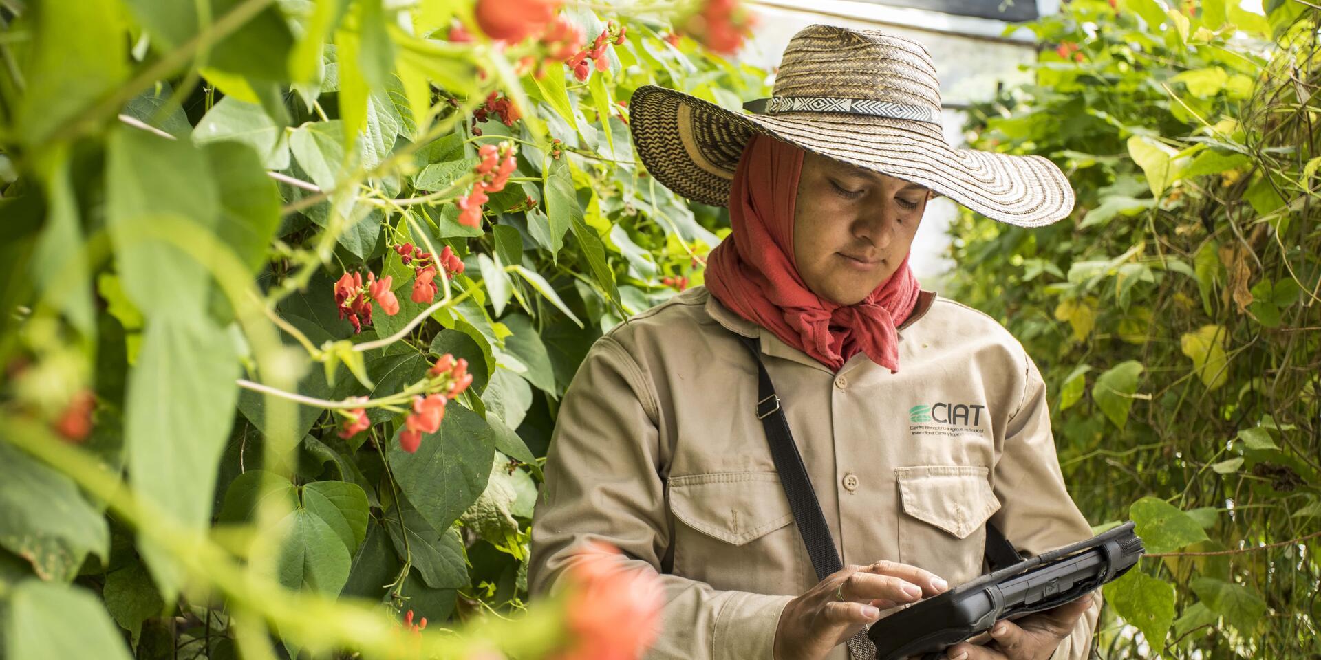 A4IP 2024 Year in Review: Bolstering the global Agri-Tech ecosystem 