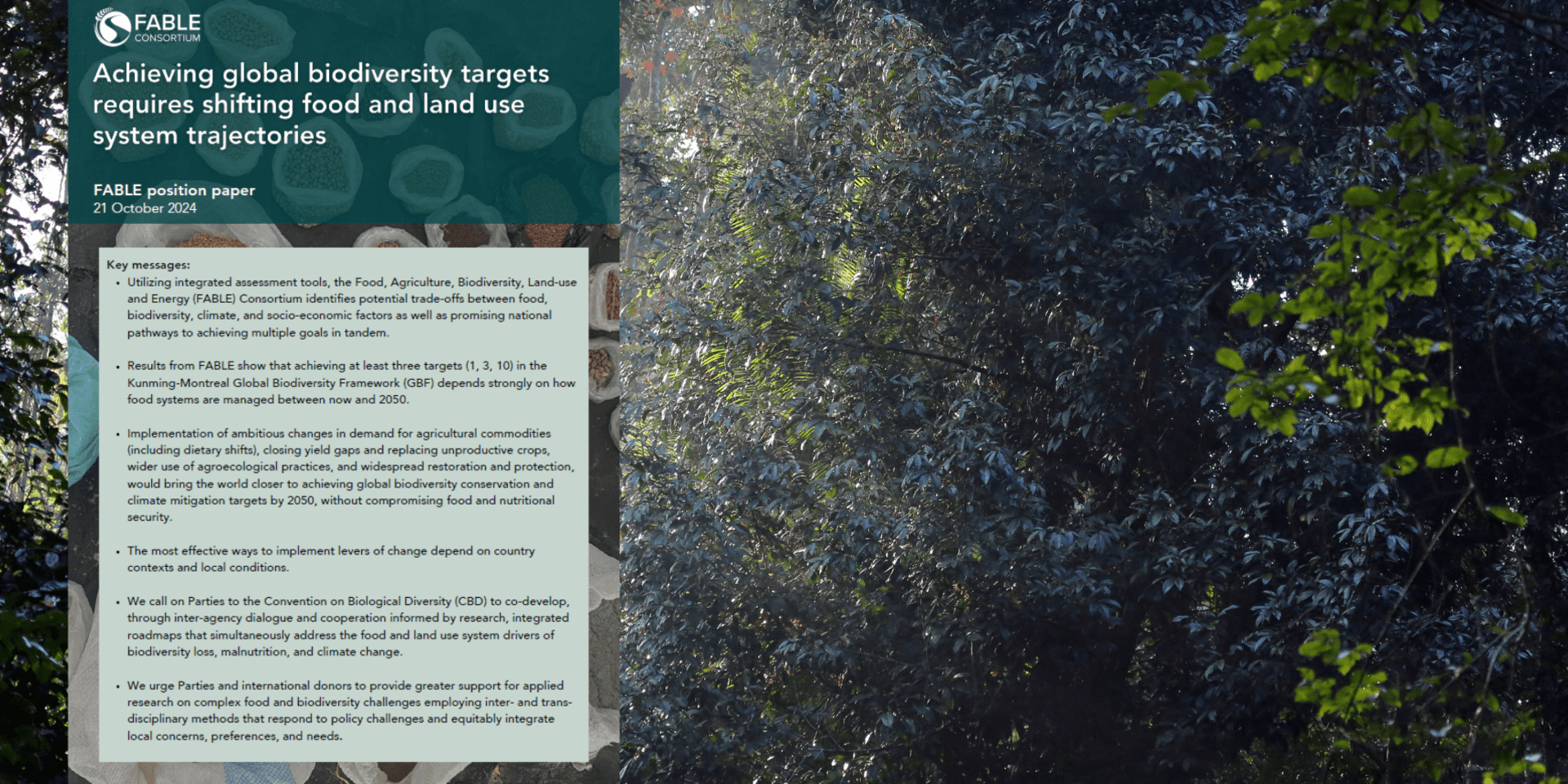 Achieving global biodiversity targets requires shifting food and land use system trajectories