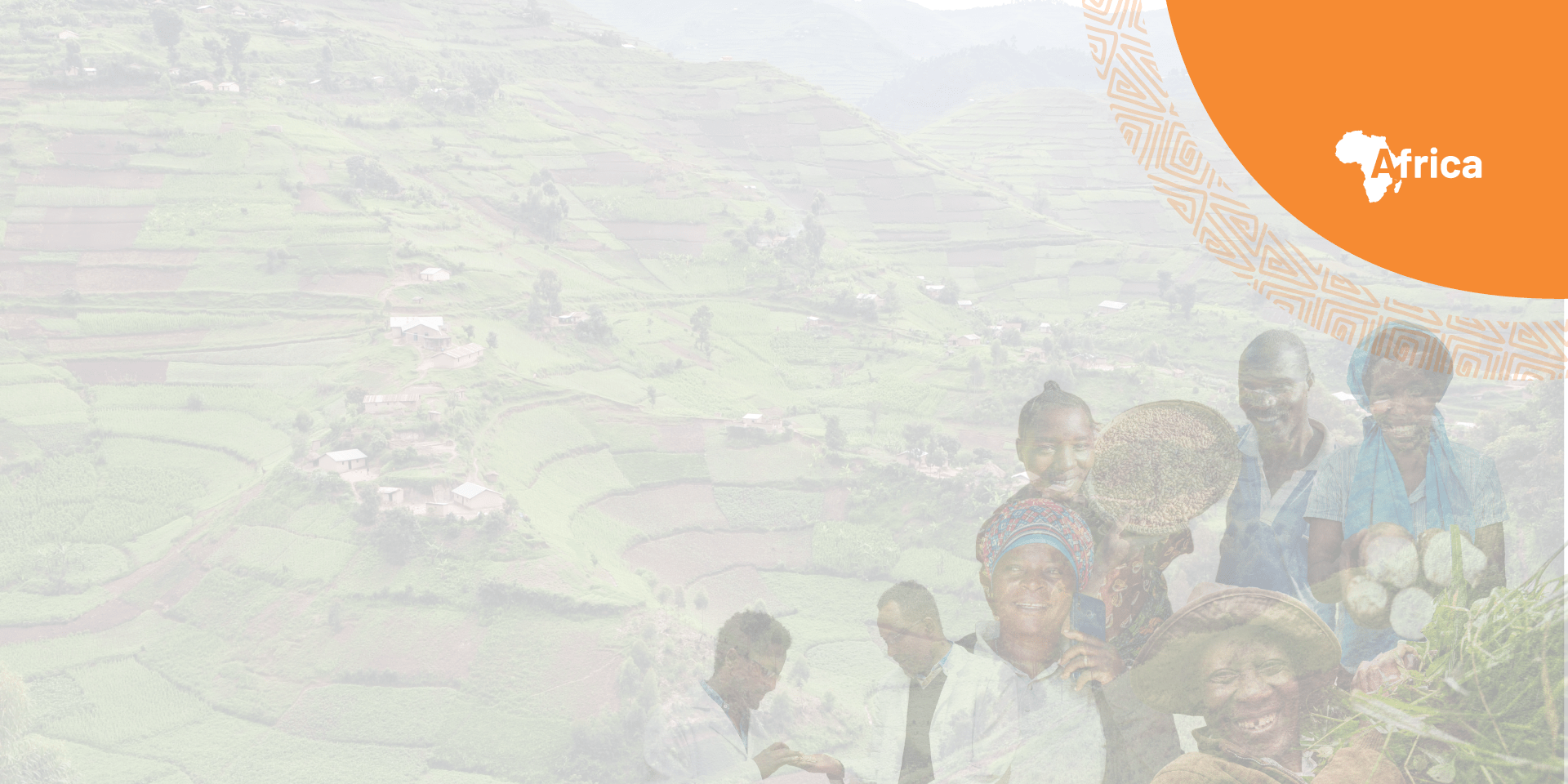 Subscribe to "The Alliance in Africa" newsletter