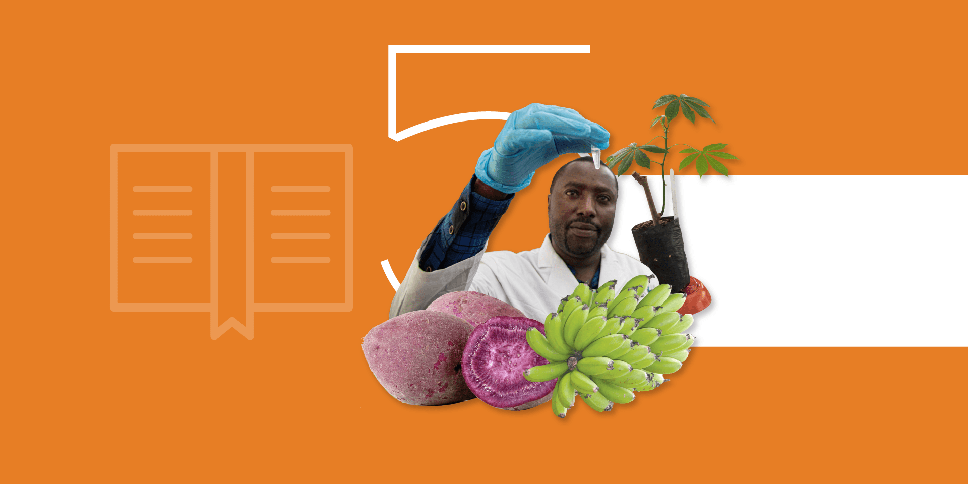 Alliance Recherche et Publications - Rapport Annuel 2024 - Alliance Bioversity International - CIAT