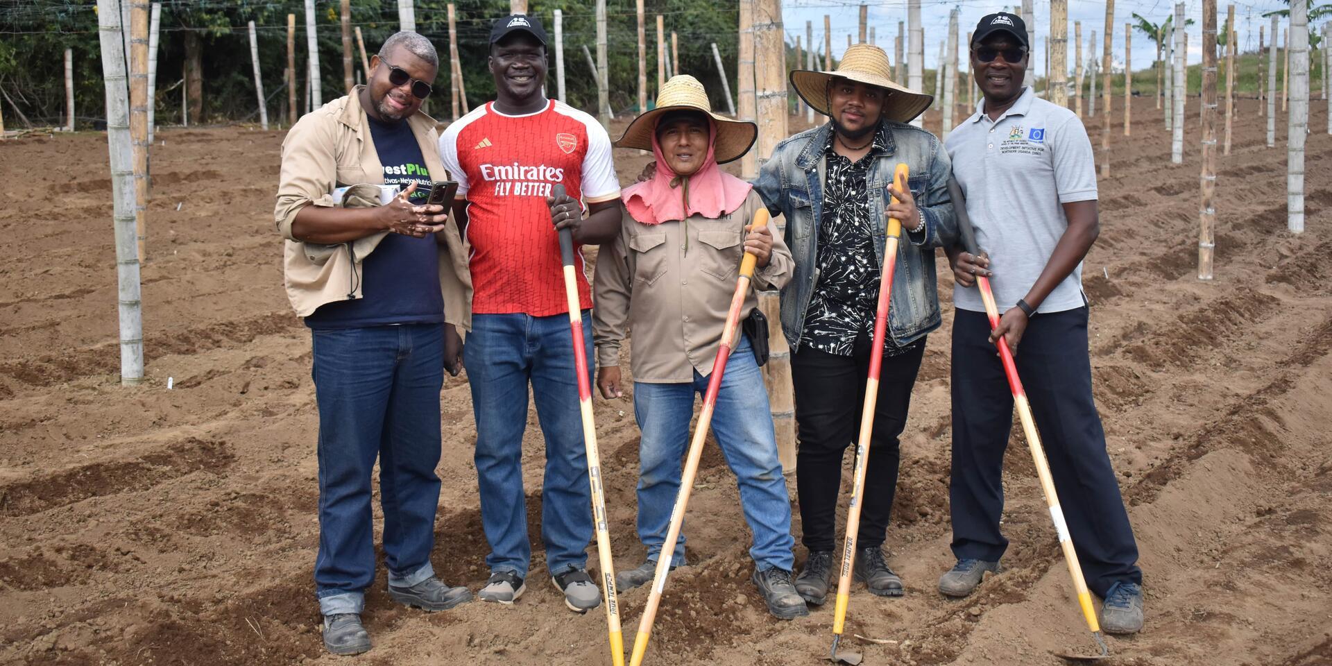 AVISA Project - Alliance Bioversity International - CIAT