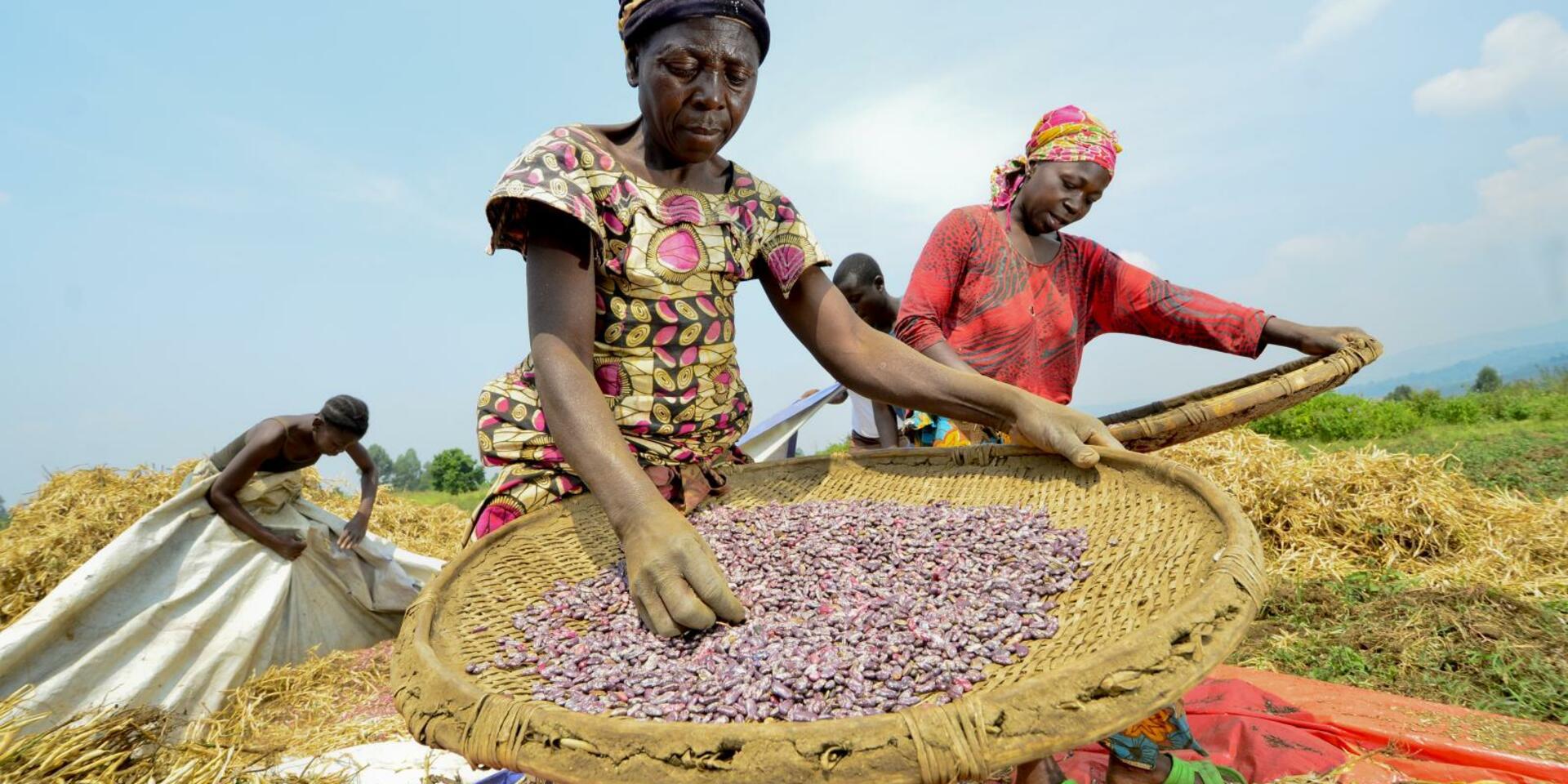 Beans for Women for Empowerment (B4WE)