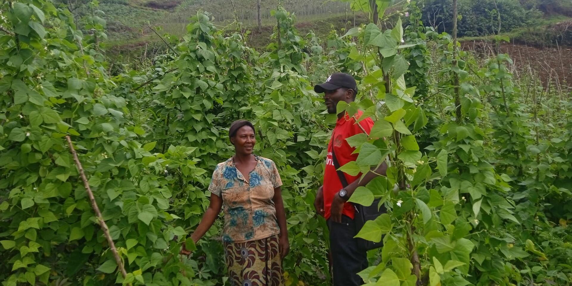 Beans that heal Journey to better nutrition in Rwanda&rsquo;s Western Province