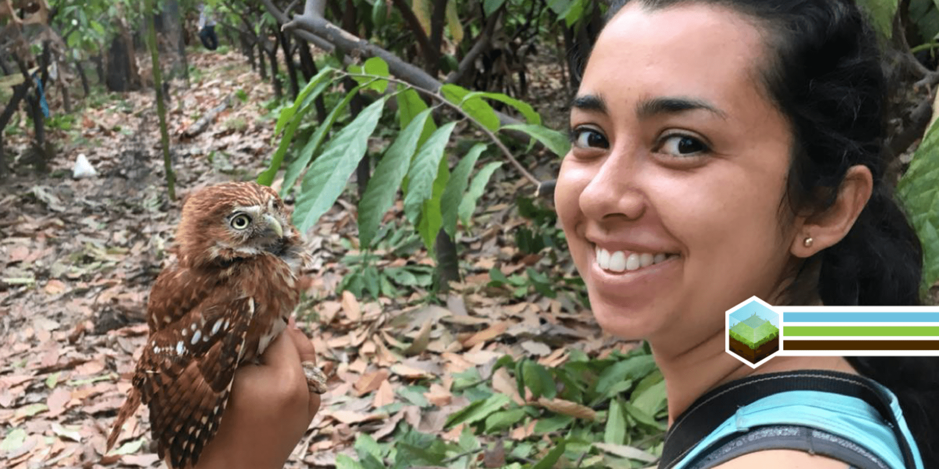 Birds and bats ensure yields for cacao farmers in northern Peru