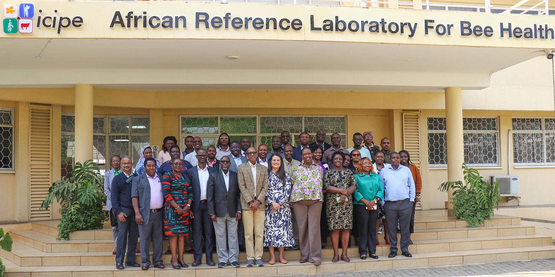 BRAINS at one: Grit, growth, and innovation in Africa&rsquo;s bean-insect-fruit trees value chains 