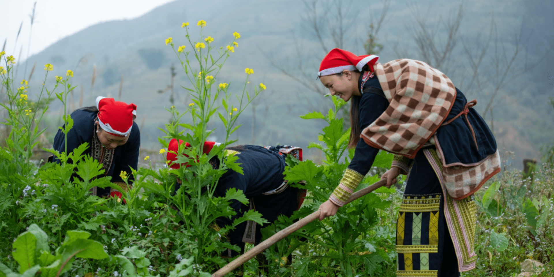 Bridging knowledge systems -  Indigenous practices for sustainable foodways