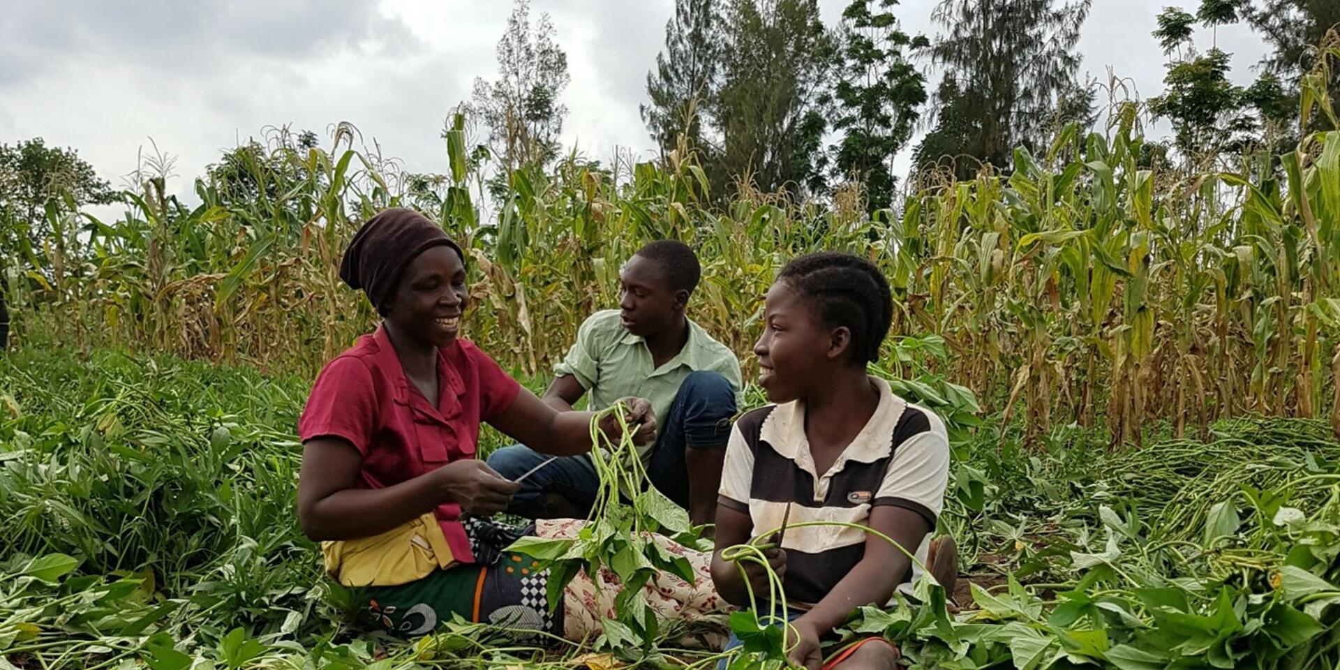 Can agroecology feed the world? The debate is heating up&hellip; and we want you to join the conversation!
