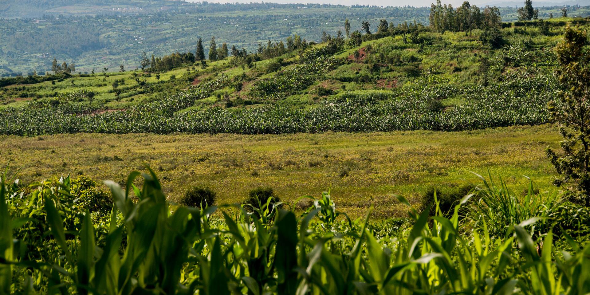 Changing perspectives: Putting Participatory Video into practice in Rwanda  