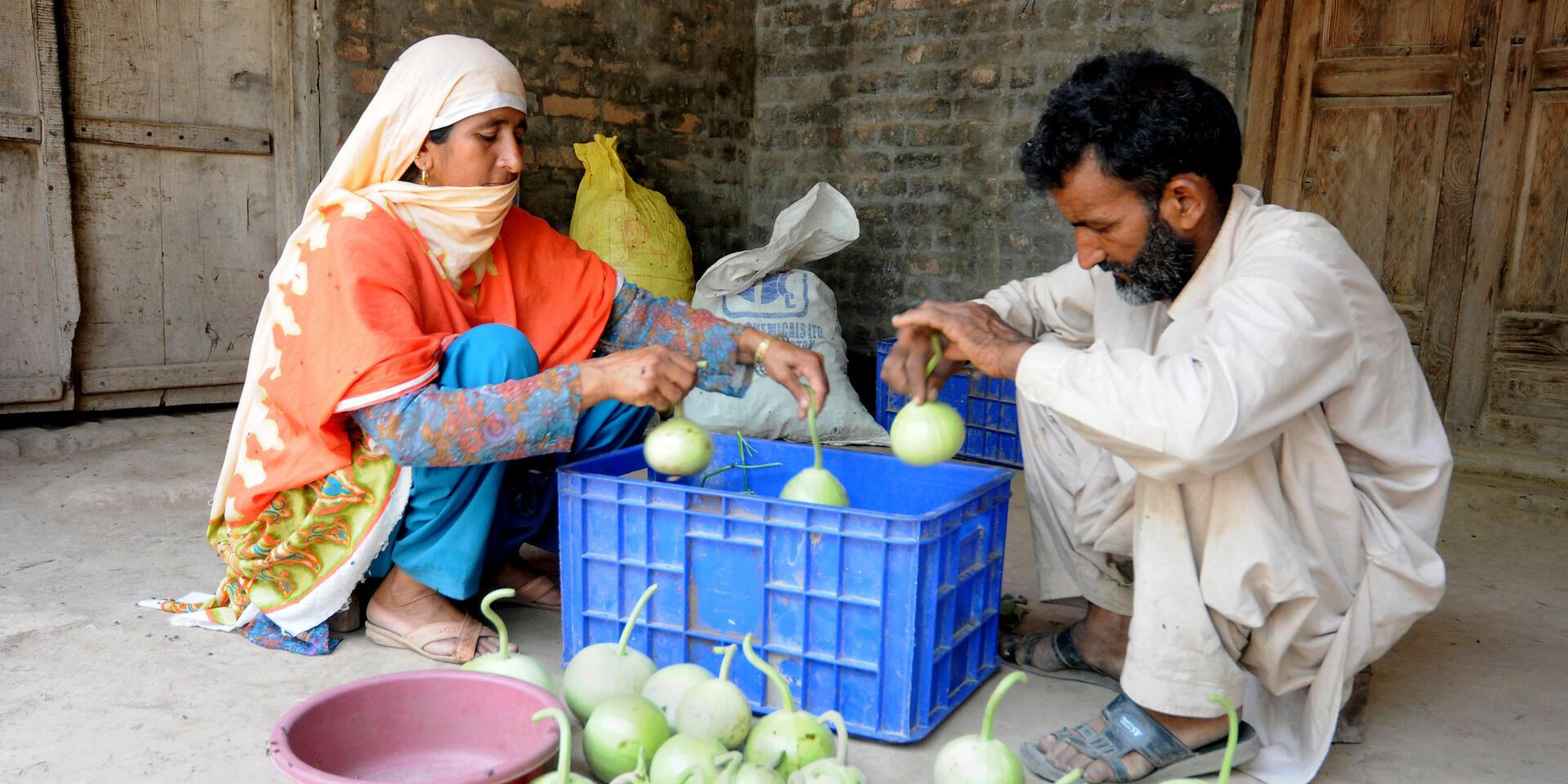 Climate risk financing Building resilience for Pakistan's agrifood sector
