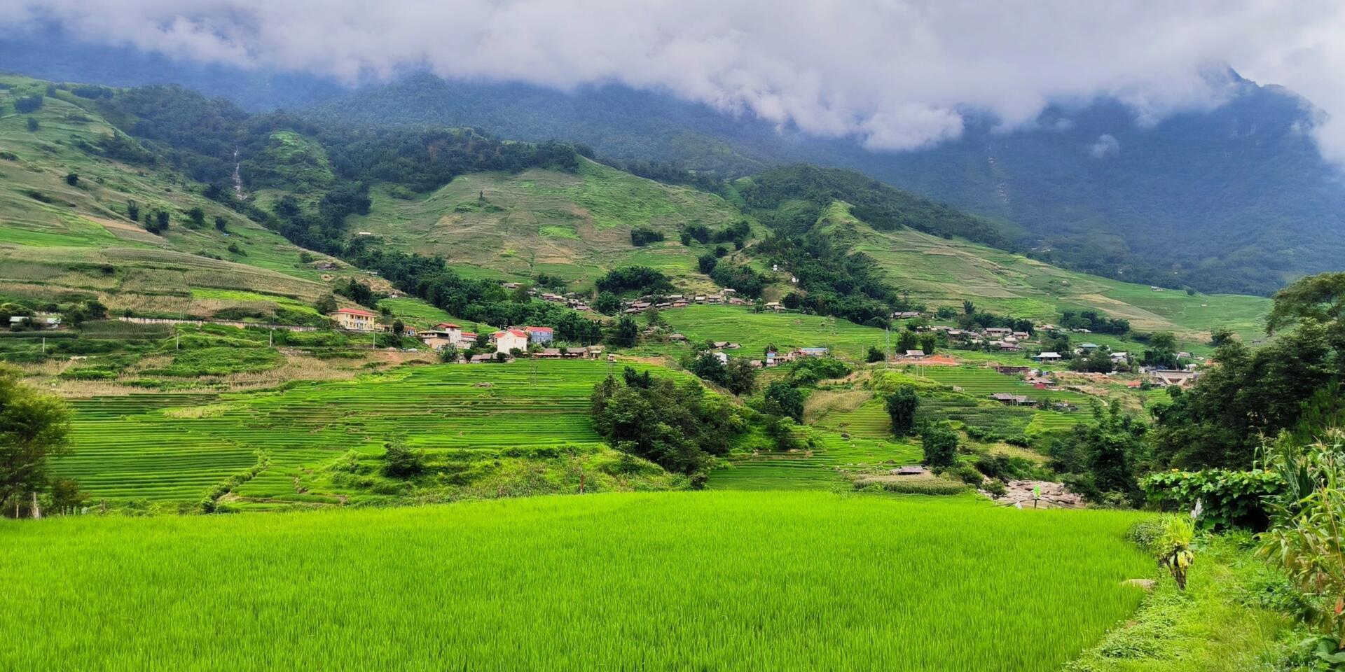 Connecting agriculture, culture, tourism and biodiversity in Northern Vietnam - Alliance Bioveristy International - CIAT
