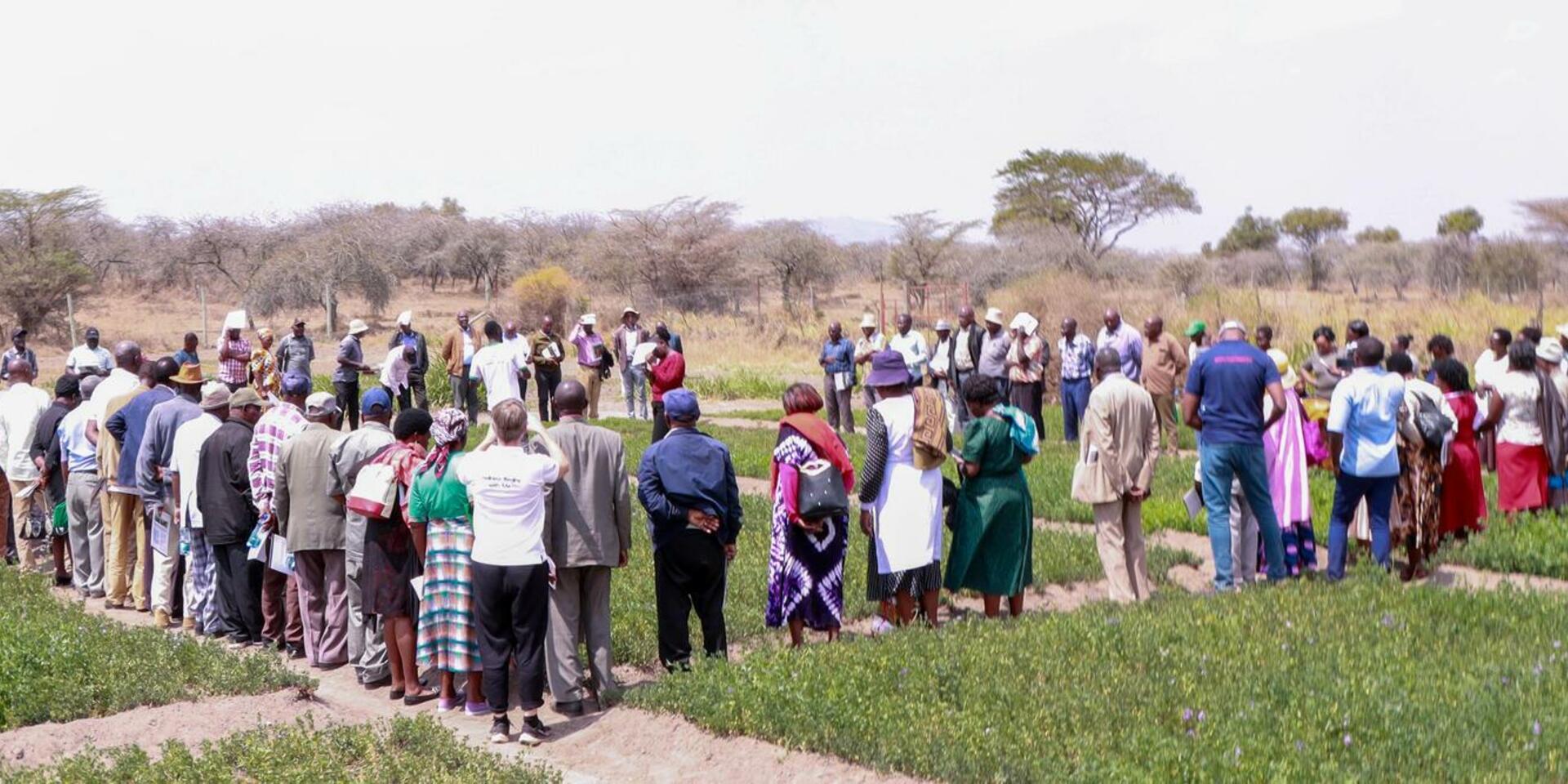 Why climate-smart dairy farming in Kenya needs more than knowledge
