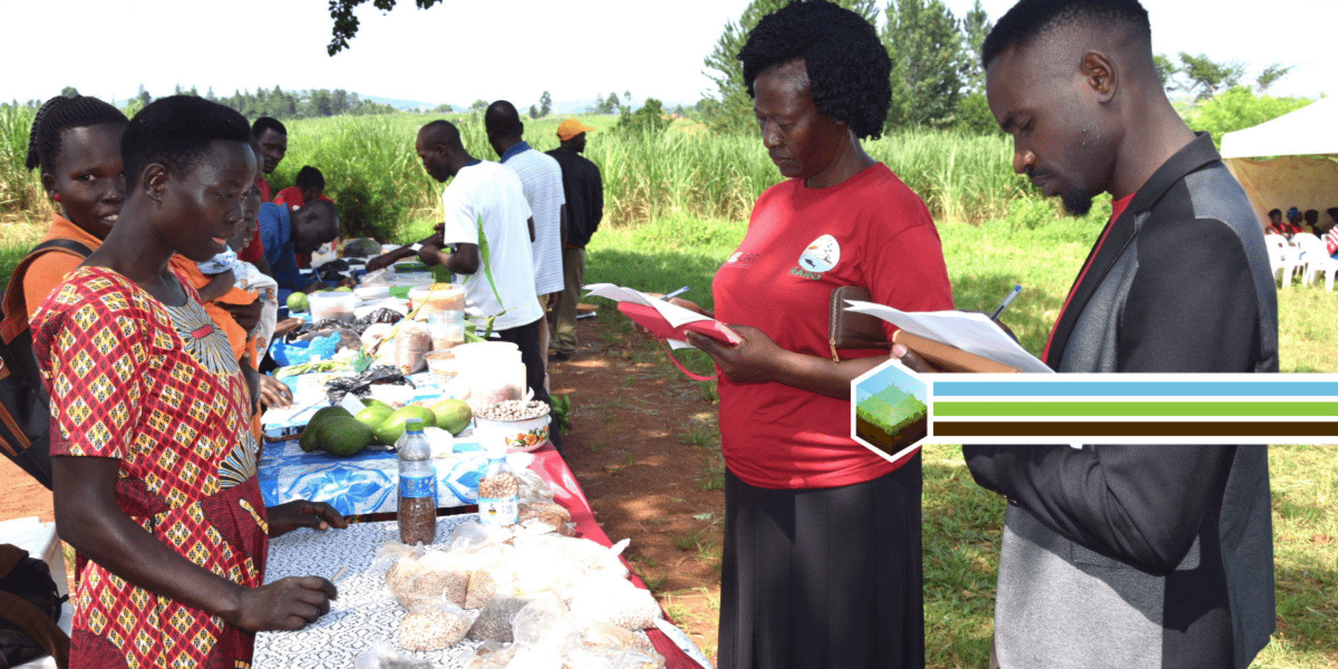Crop diversity in a sea of sugarcane Uganda&rsquo;s newest community seed bank 