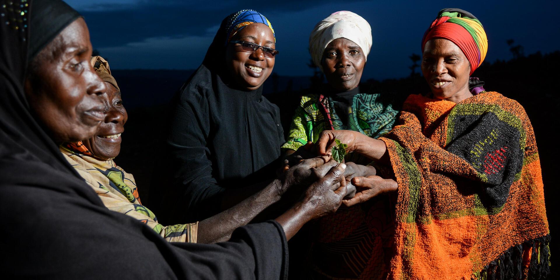 Cultivating opportunity: Revaluing traditional crops for nutrition, heritage and resilience in Africa 
