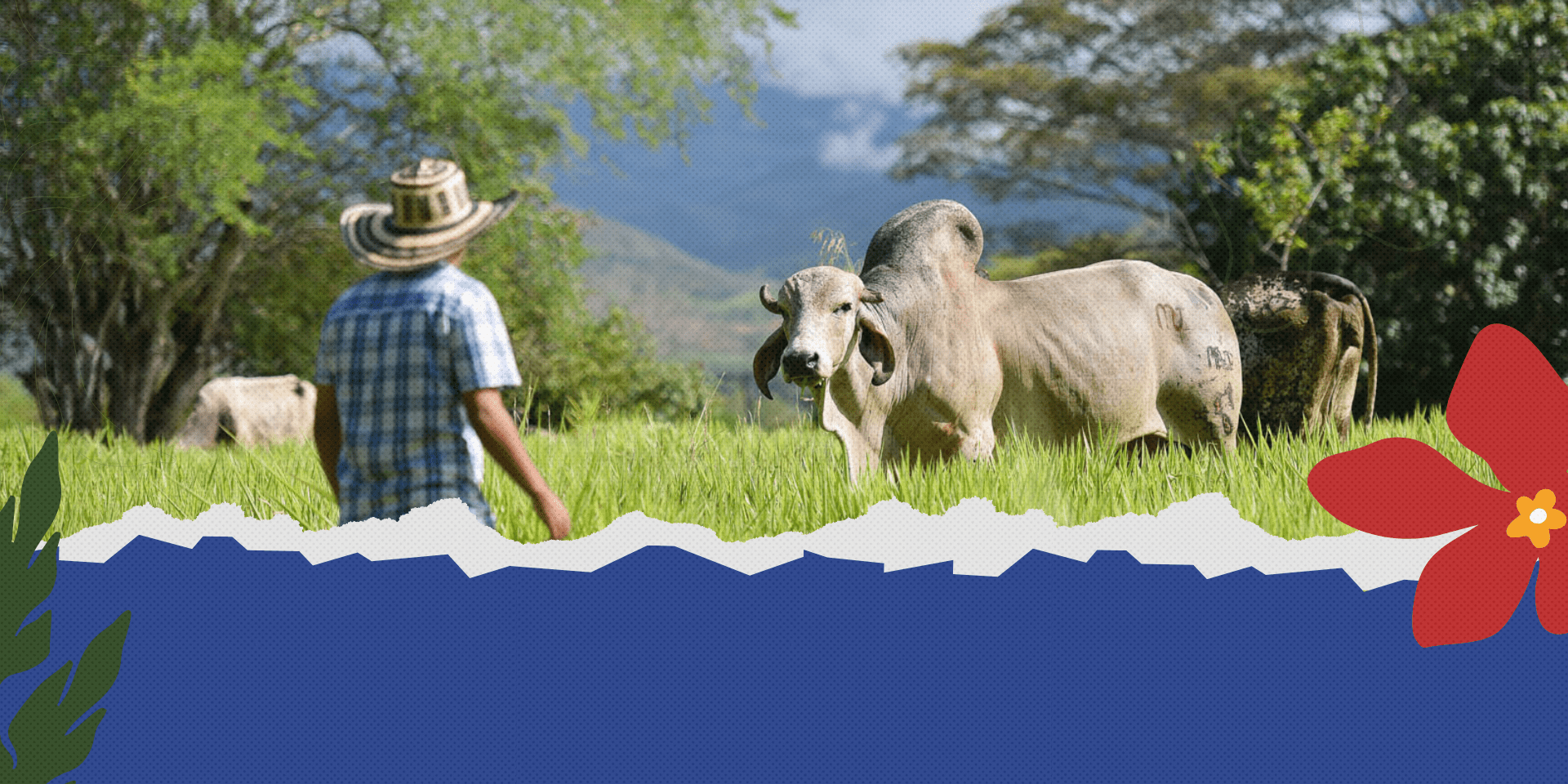 De las promesas a la pr&aacute;ctica - C&oacute;mo ampliar la agricultura respetuosa con la naturaleza para lograr un impacto clim&aacute;tico en la COP30