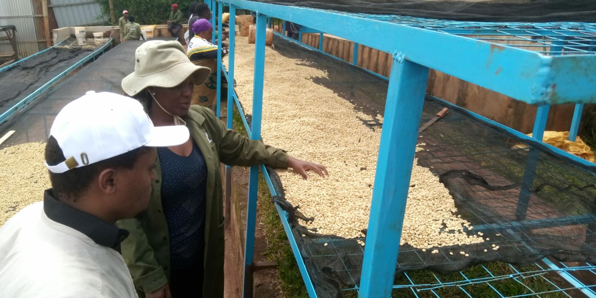 Empowering caregivers through coffee -  The story of cerebral palsy warriors CBO in Nyeri County, Kenya