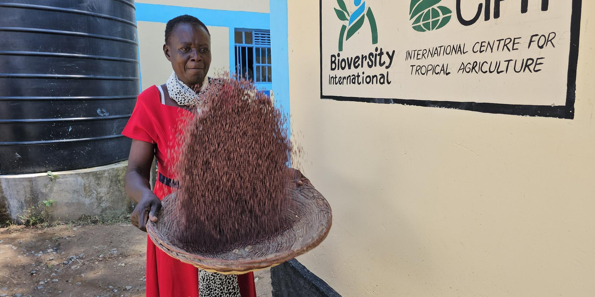 Enhancing Sustainability of Community Seed Banks through Value Addition