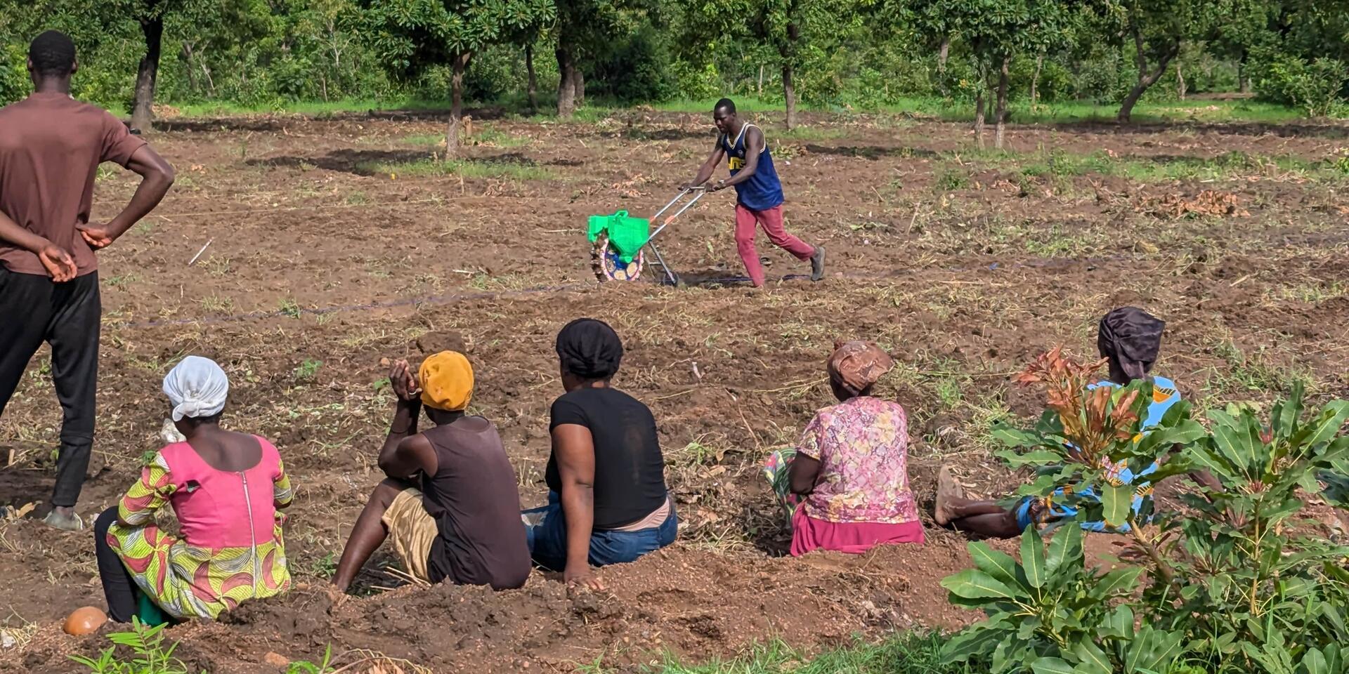 Establishing Demonstration Farms in Ghana&rsquo;s Upper West Region Fostering Learning, Observation, and Discussion Among Smallholder Farmers 