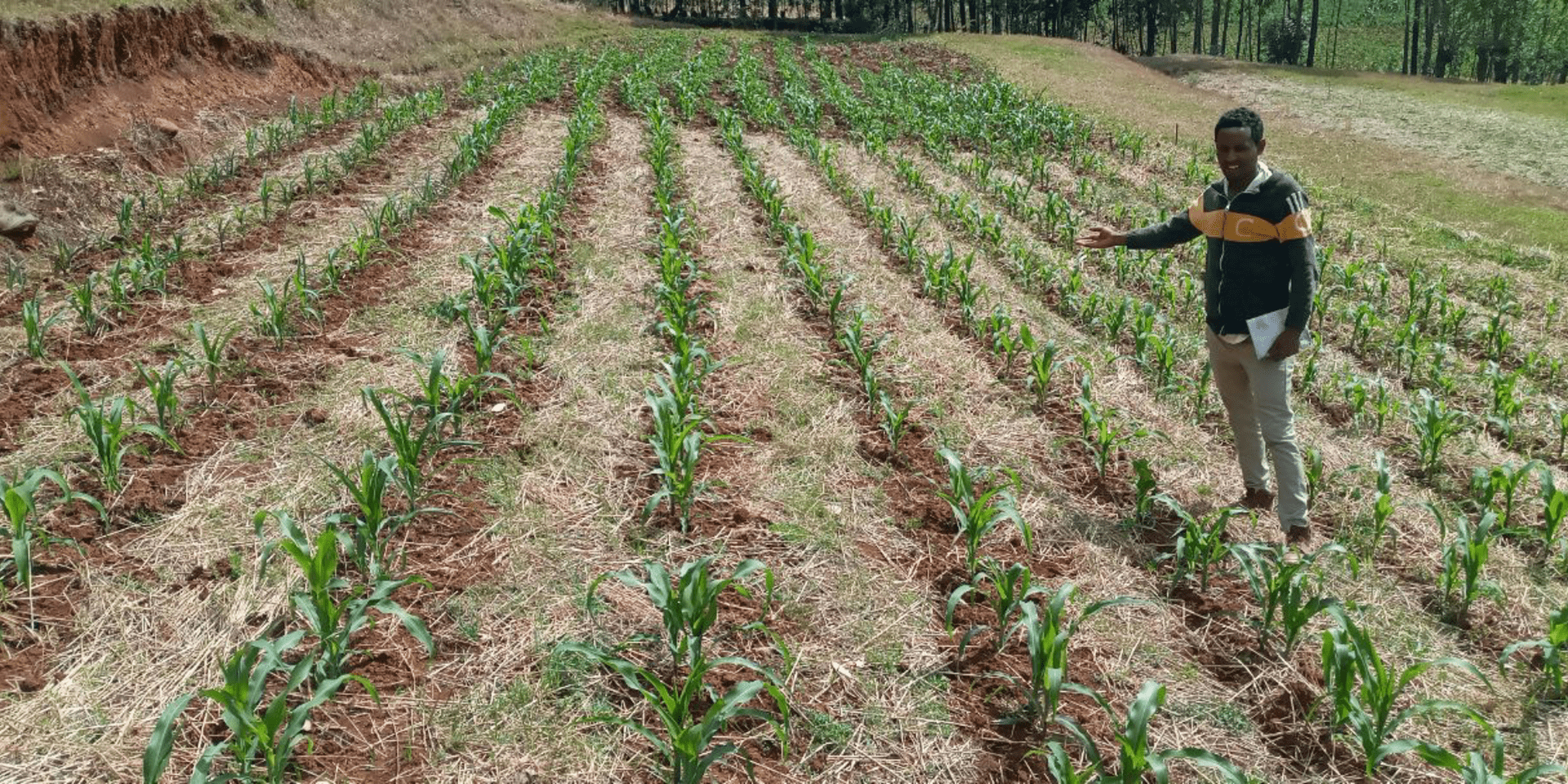 Ethiopia - When soils become a tool against climate change - Alliance Bioversity International - CIAT