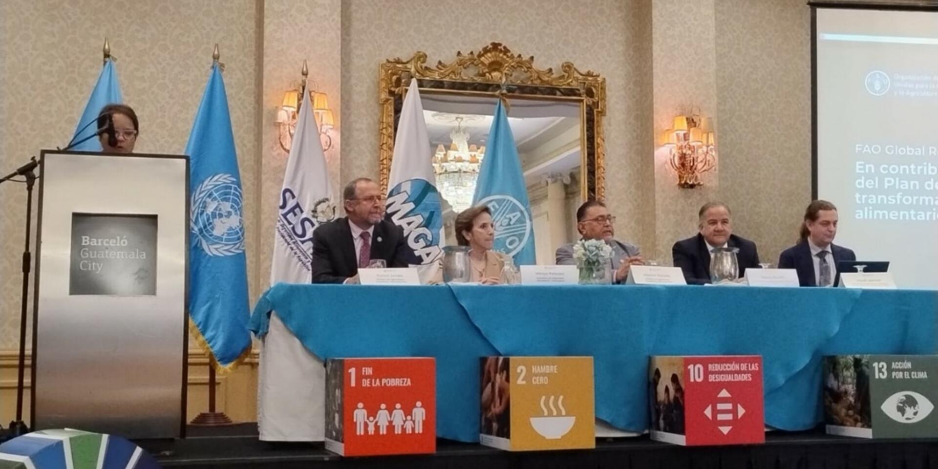 Exploring an illustrative national pathway for Guatemala to achieve food and climate targets in the framework of the FAO Global Roadmap