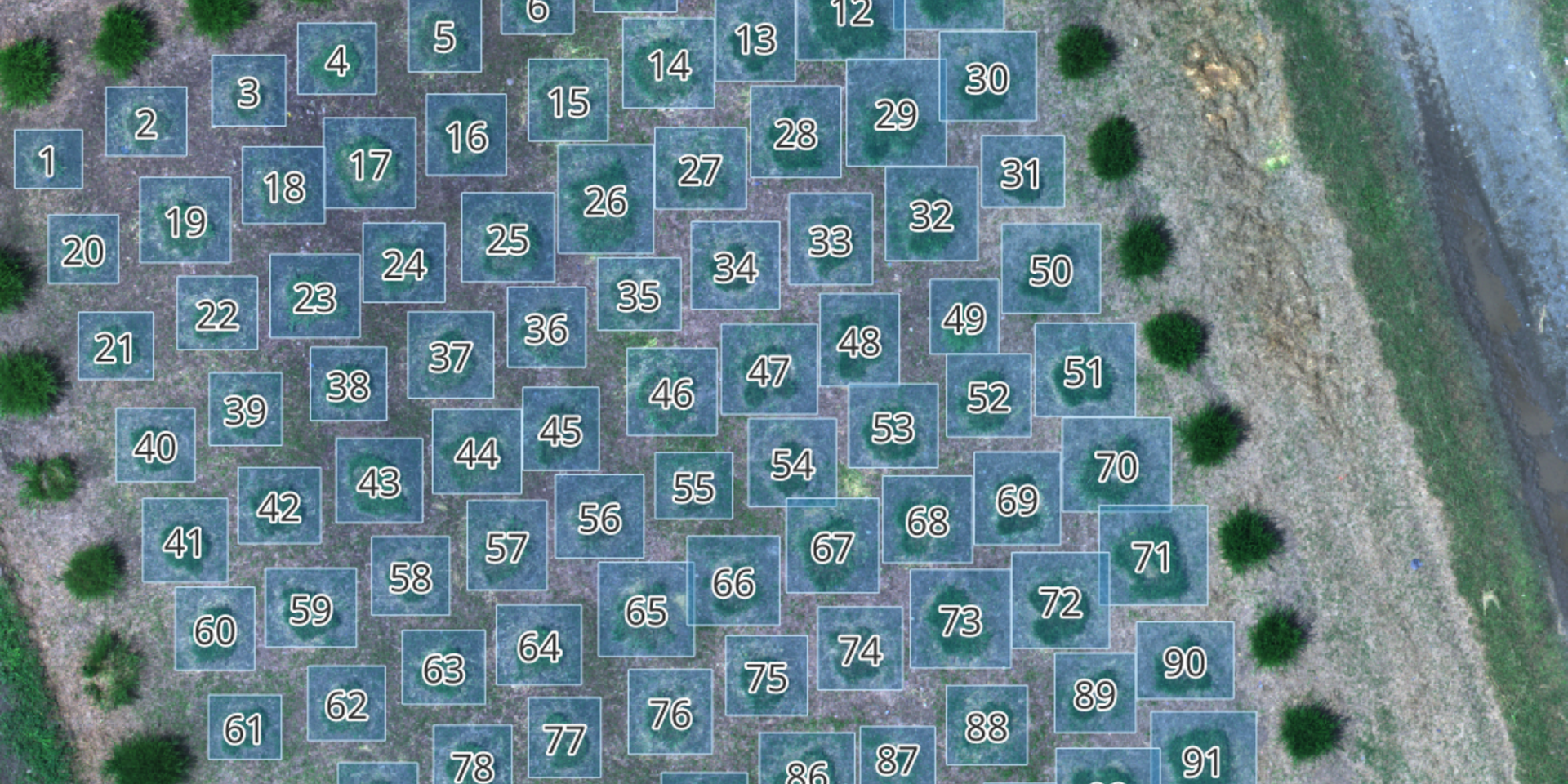 Fairgrounds in action: How the CGIAR forages research team is simplifying machine learning operations