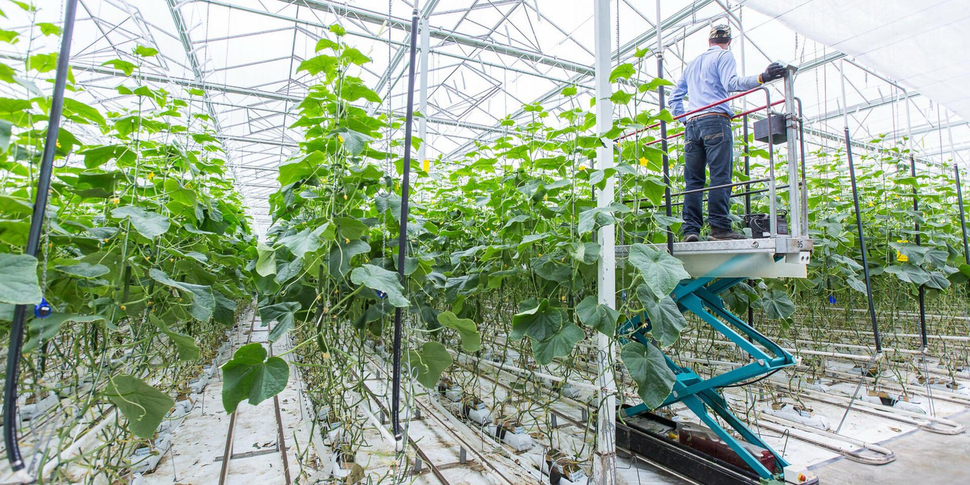 Fondazione Agritech and the Alliance Join Forces