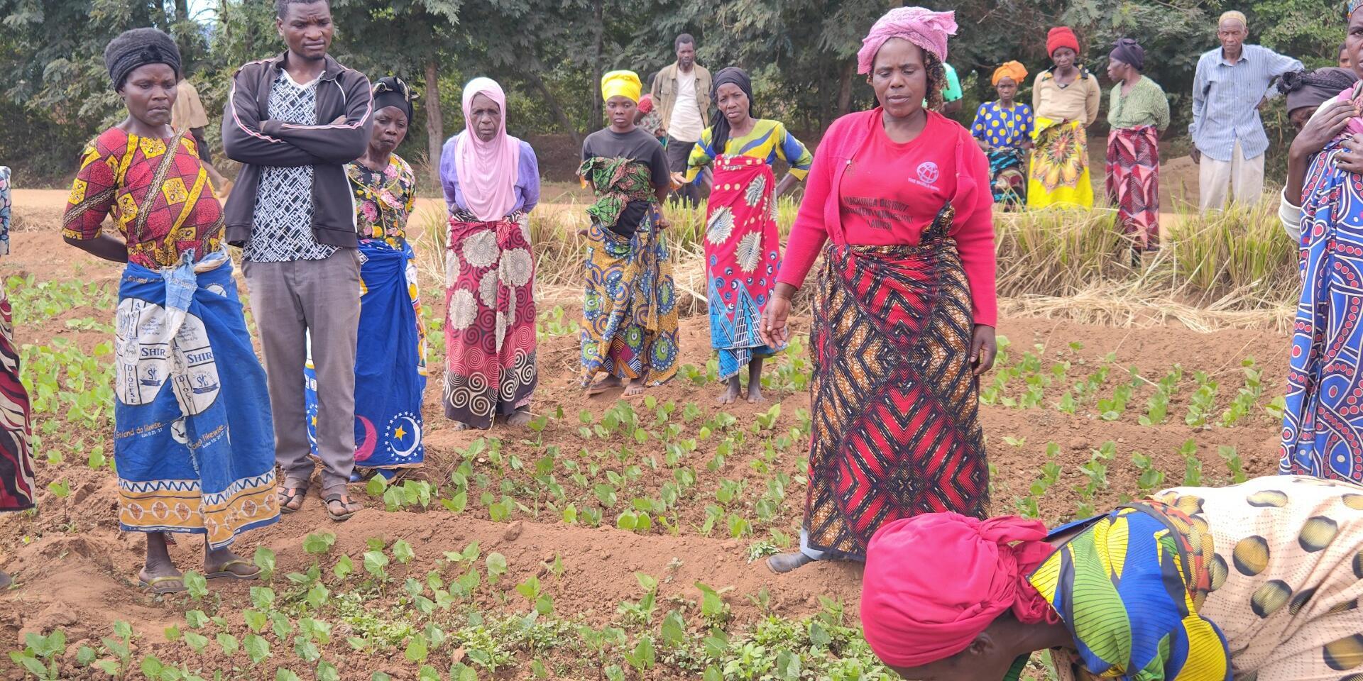 From parched land to productive farms - AID-I paves the way in Malawi