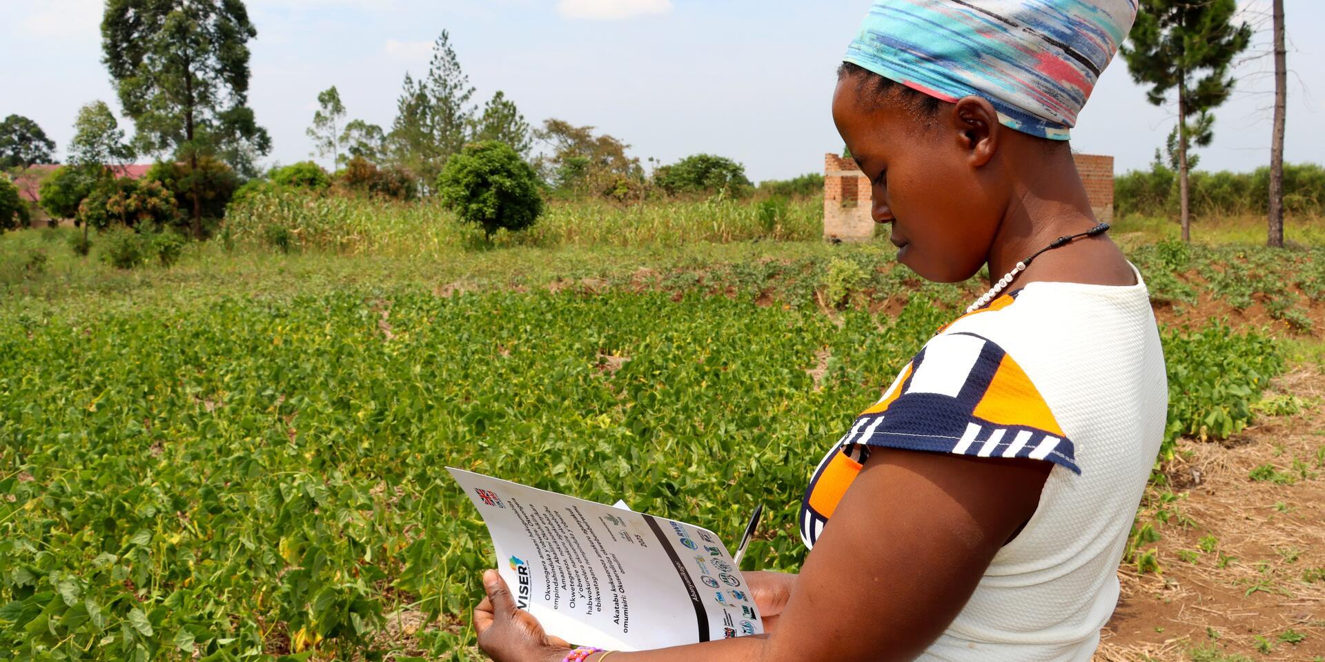  From transformation to sustainability: Scaling inclusive climate services in East Africa 