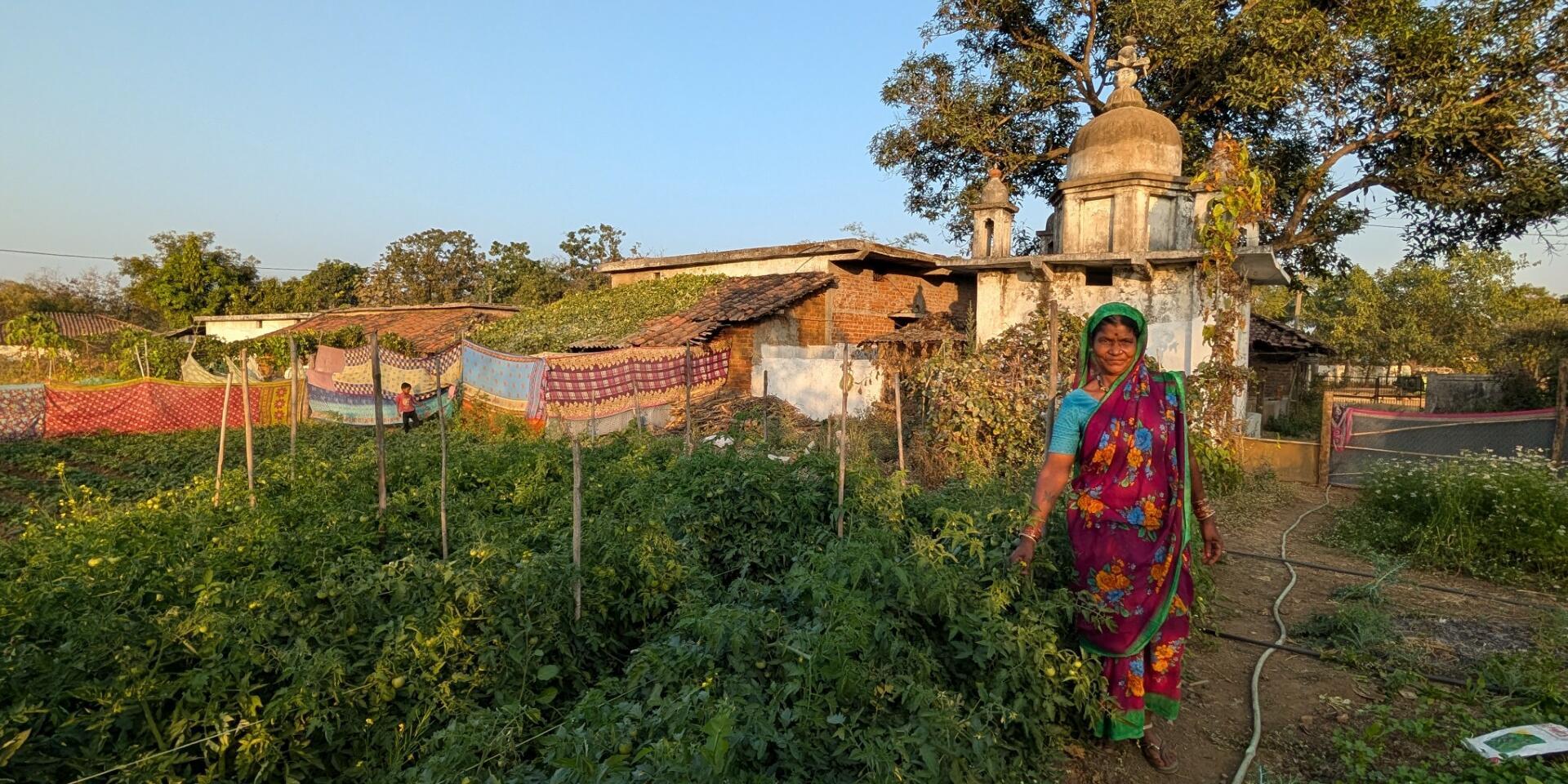 Functional Biodiversity on Farmscapes