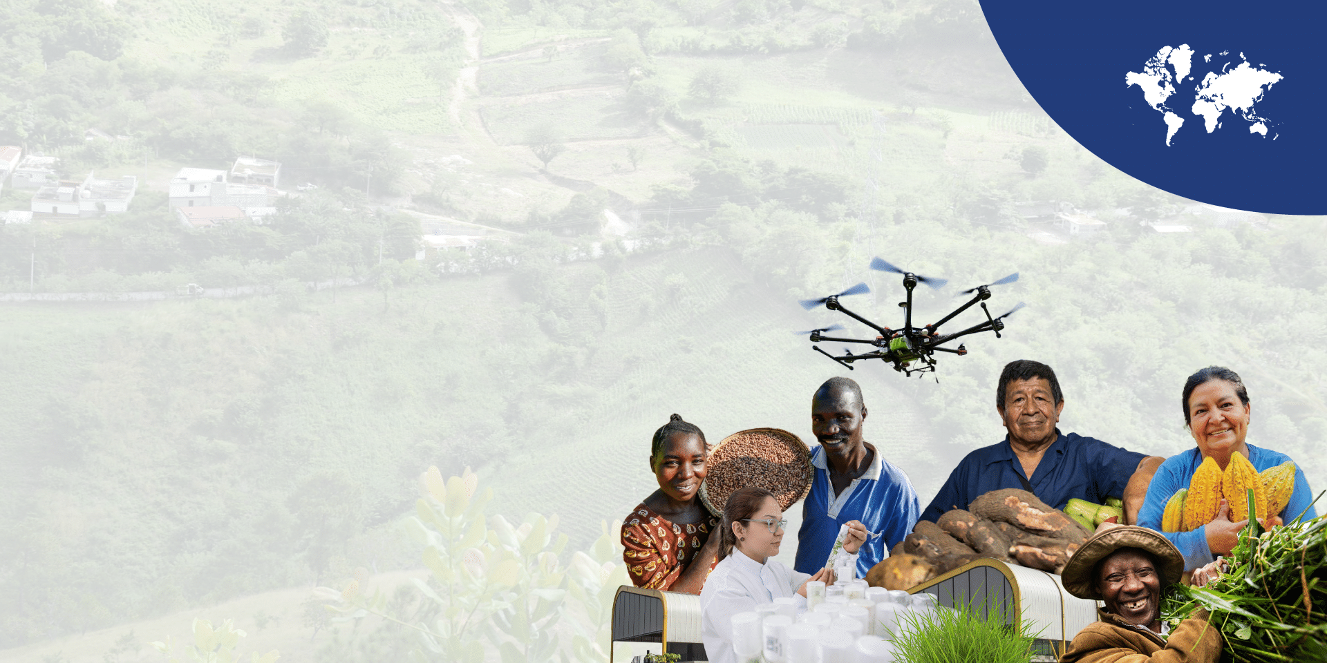 Stay Connected with the Alliance via our newsletters